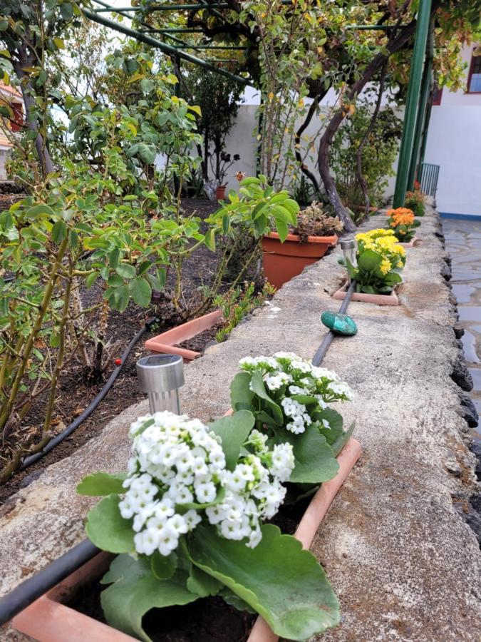 TaibiqueCasa Natalia.アパートメント エクステリア 写真